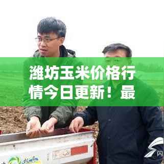 潍坊玉米价格行情今日更新！最新报价一网打尽