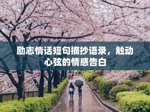 励志情话短句摘抄语录,触动心弦的情感告白