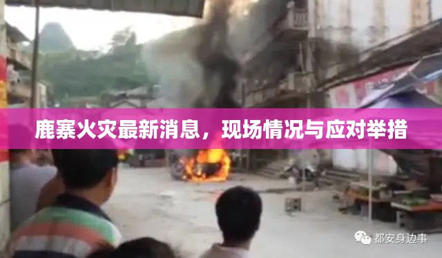 鹿寨火灾最新消息,现场情况与应对举措