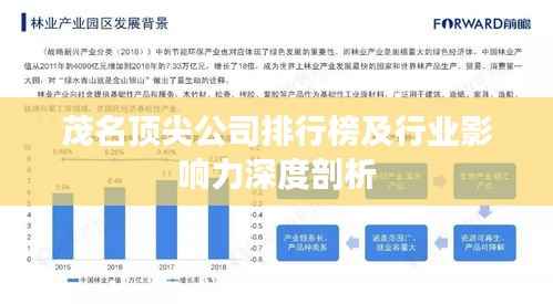 茂名顶尖公司排行榜及行业影响力深度剖析