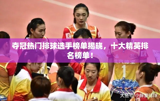 夺冠热门排球选手榜单揭晓,十大精英排名榜单!