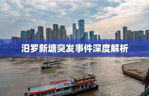 汨罗新塘突发事件深度解析