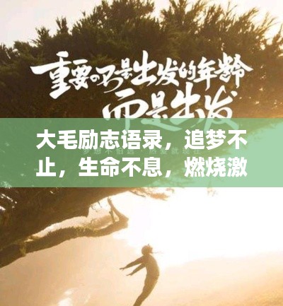 大毛励志语录,追梦不止,生命不息,燃烧激情!