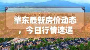 肇东最新房价动态,今日行情速递