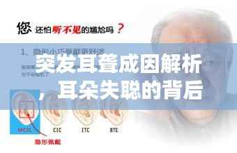 突发耳聋成因解析,耳朵失聪的背后因素揭秘