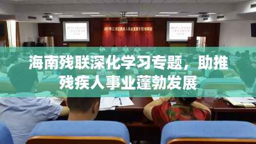 海南残联深化学习专题,助推残疾人事业蓬勃发展