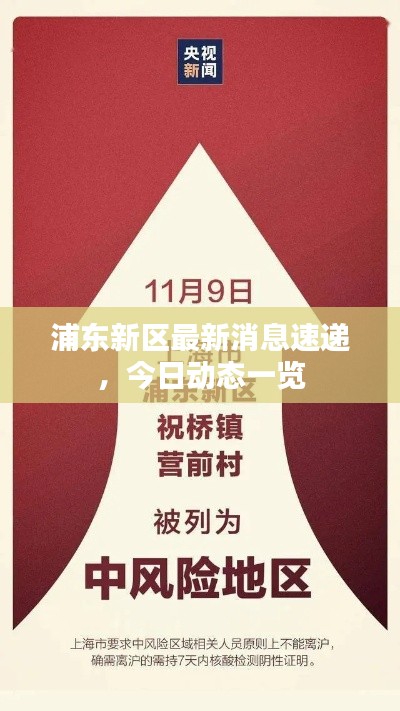 浦东新区最新消息速递,今日动态一览