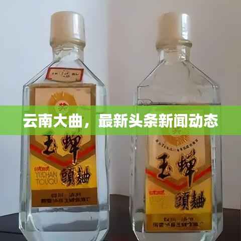 云南大曲,最新头条新闻动态