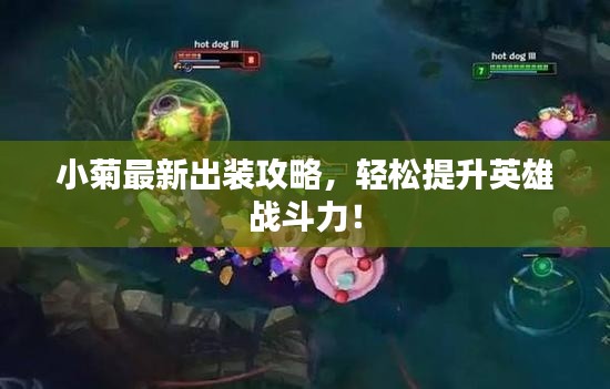 小菊最新出装攻略，轻松提升英雄战斗力！