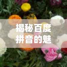 揭秘百度拼音的魅力,一键探索全面精准的拼音查询