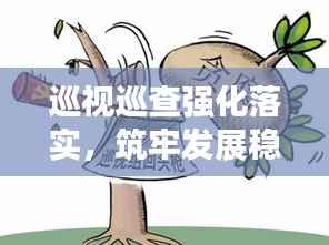 巡视巡查强化落实,筑牢发展稳固基石