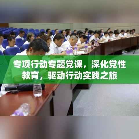 专项行动专题党课,深化党性教育,驱动行动实践之旅