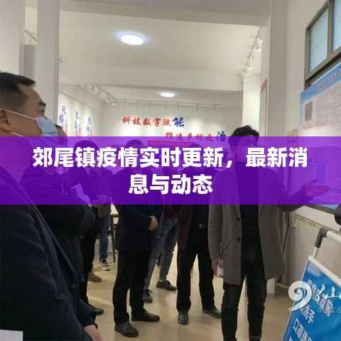 郊尾镇疫情实时更新,最新消息与动态