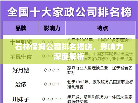 石林保姆公司排名揭晓,影响力深度解析