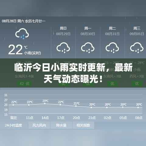 临沂今日小雨实时更新,最新天气动态曝光!