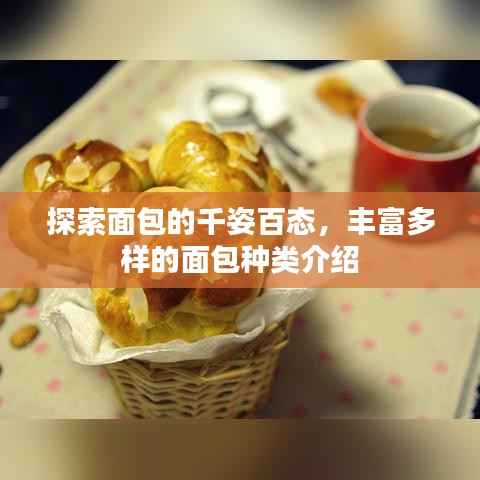 探索面包的千姿百态,丰富多样的面包种类介绍