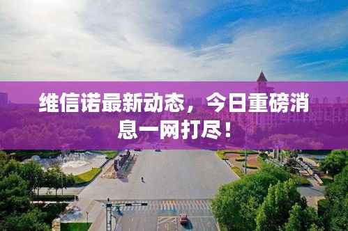 维信诺最新动态,今日重磅消息一网打尽!