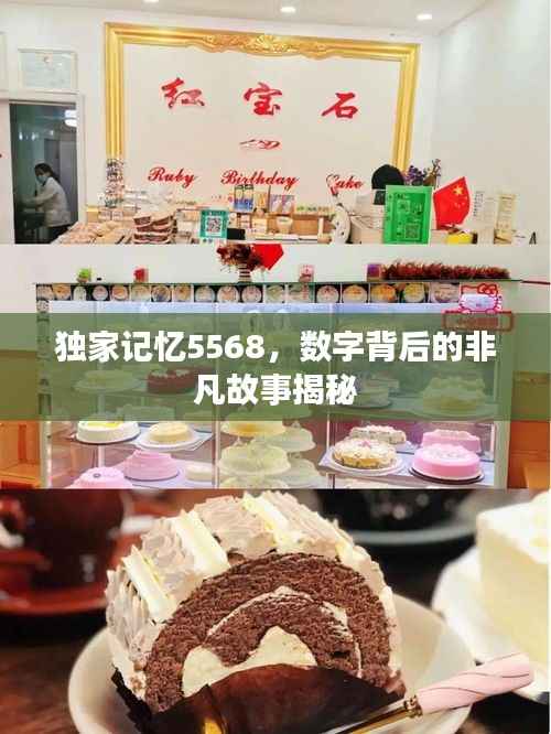 独家记忆5568,数字背后的非凡故事揭秘