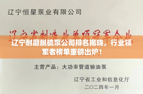 辽宁耐磨脱硫泵公司排名揭晓,行业领军者榜单重磅出炉!