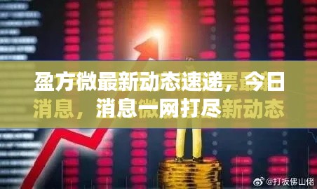 盈方微最新动态速递,今日消息一网打尽