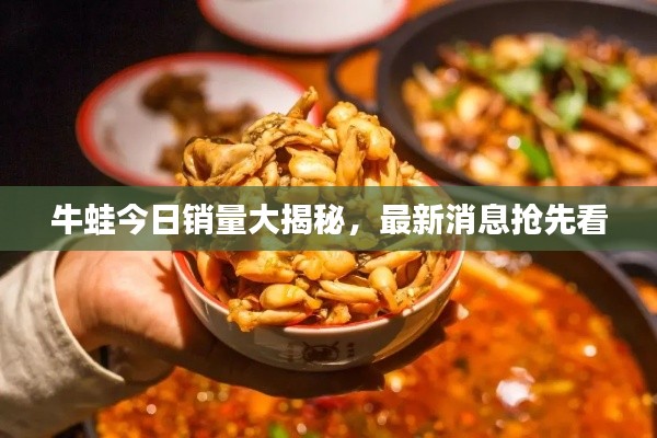 牛蛙今日销量大揭秘,最新消息抢先看