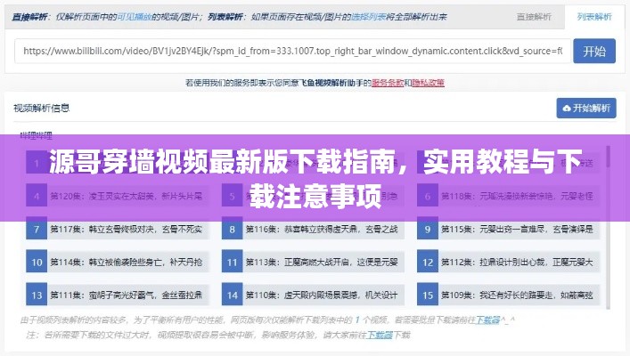 源哥穿墙视频最新版下载指南，实用教程与下载注意事项