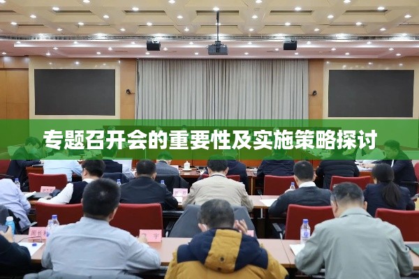 专题召开会的重要性及实施策略探讨