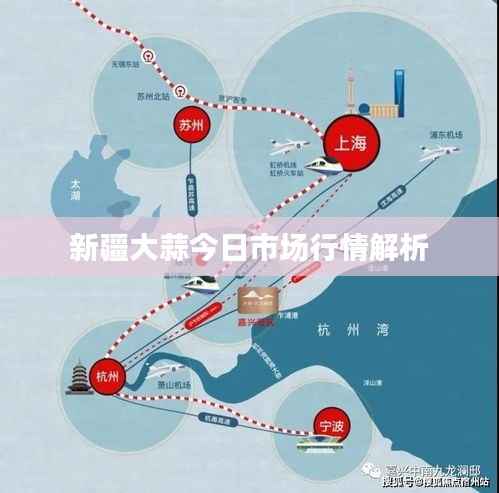 新疆大蒜今日市场行情解析