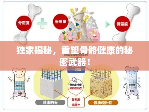 独家揭秘,重塑骨骼健康的秘密武器!