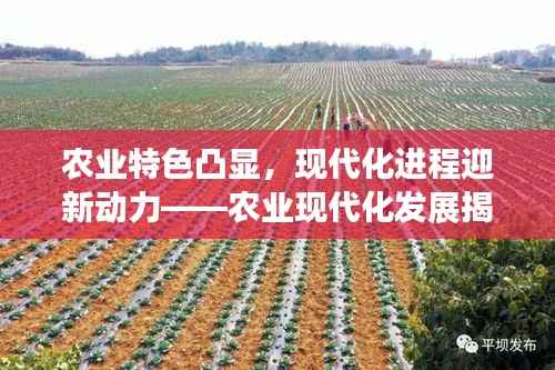 农业特色凸显,现代化进程迎新动力——农业现代化发展揭秘!