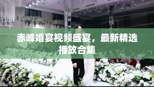赤峰婚宴视频盛宴，最新精选播放合集