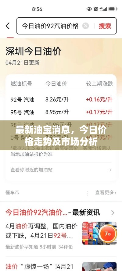 最新油宝消息，今日价格走势及市场分析