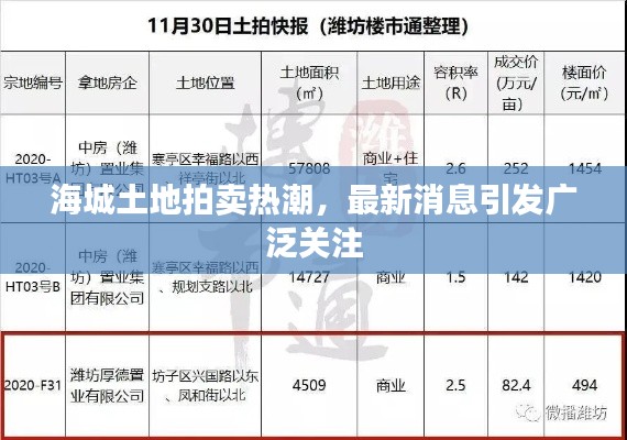 海城土地拍卖热潮，最新消息引发广泛关注