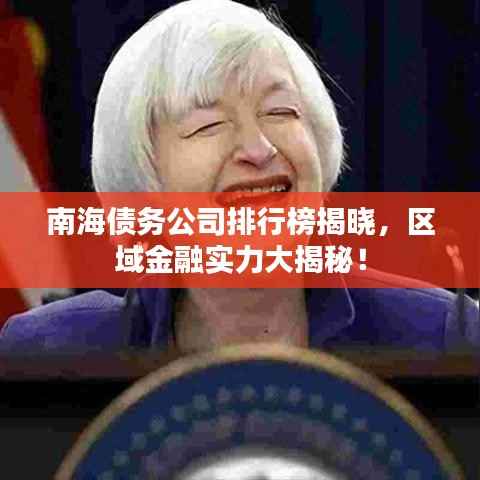 南海债务公司排行榜揭晓,区域金融实力大揭秘!