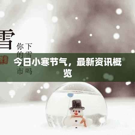 今日小寒节气,最新资讯概览