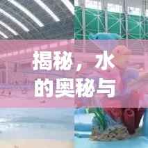 揭秘,水的奥秘与未知探索之旅