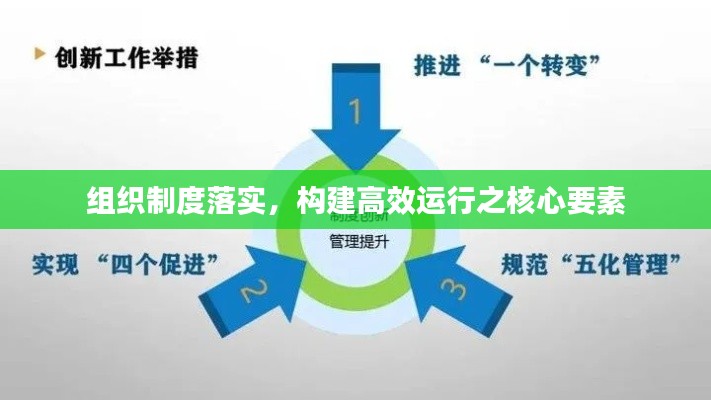 组织制度落实,构建高效运行之核心要素