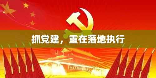 抓党建,重在落地执行