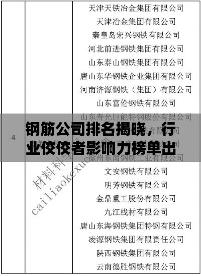 钢筋公司排名揭晓,行业佼佼者影响力榜单出炉!