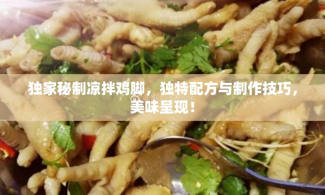 独家秘制凉拌鸡脚,独特配方与制作技巧,美味呈现!