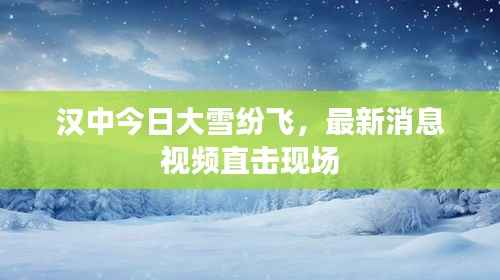 汉中今日大雪纷飞,最新消息视频直击现场