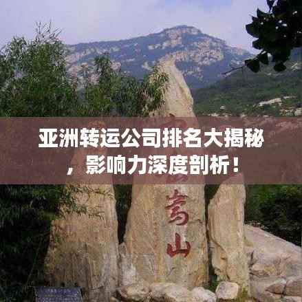 亚洲转运公司排名大揭秘,影响力深度剖析!